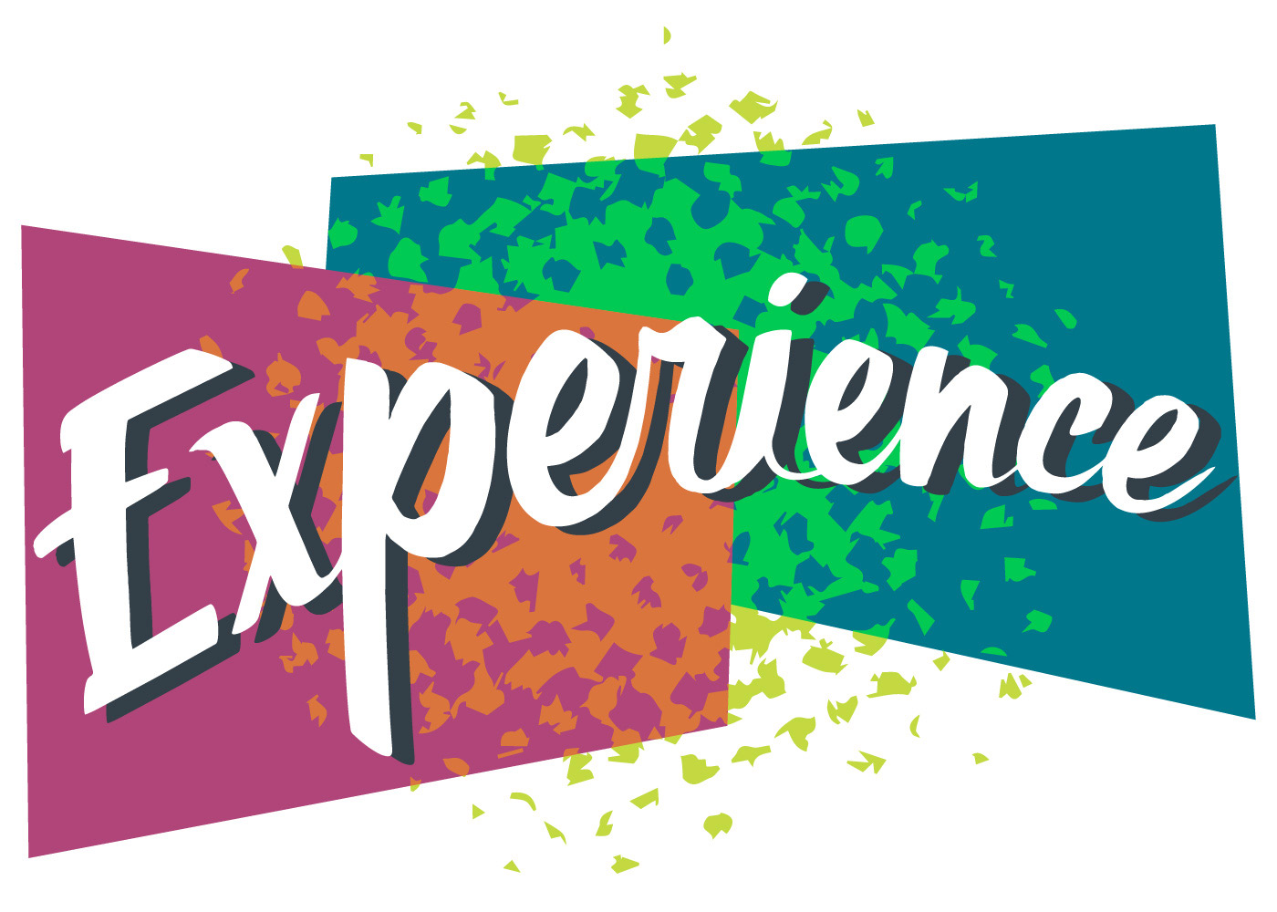 experience