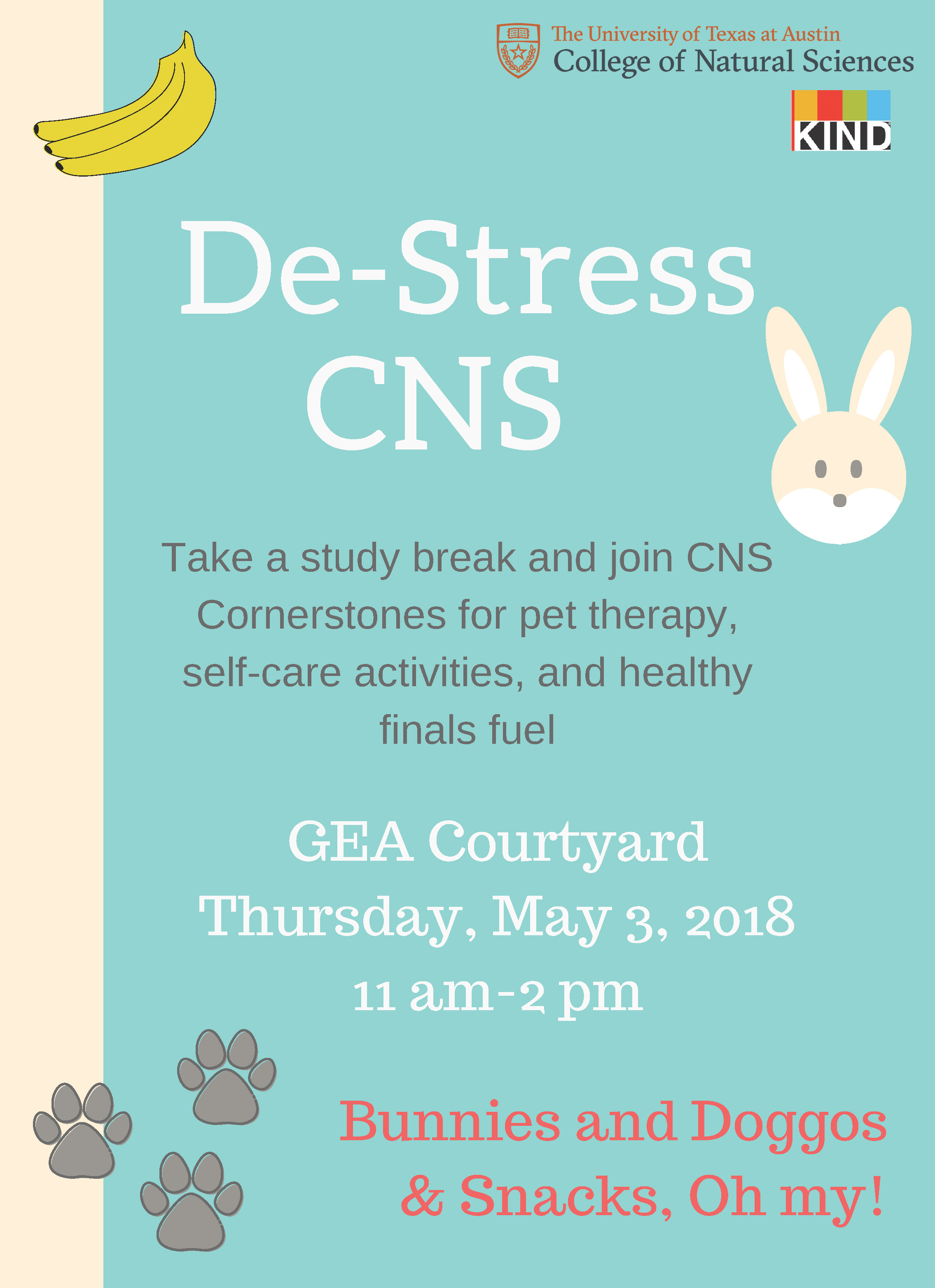 De Stress CNS Flyer