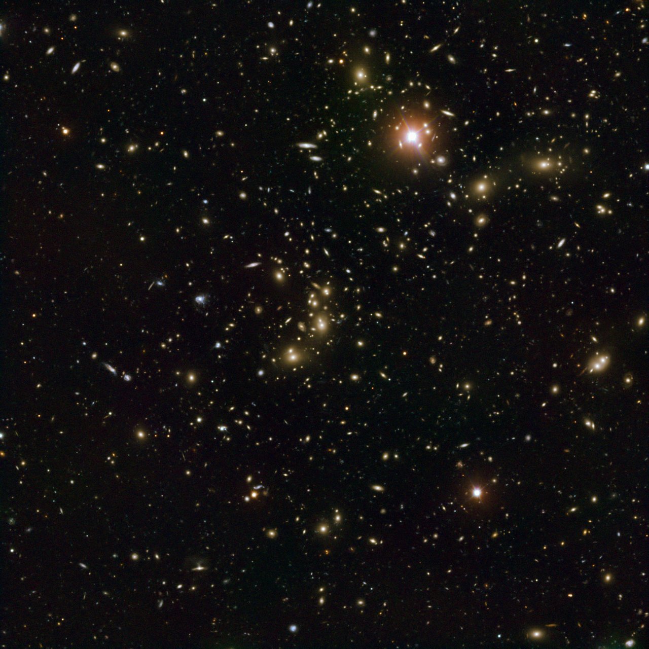 pandora cluster