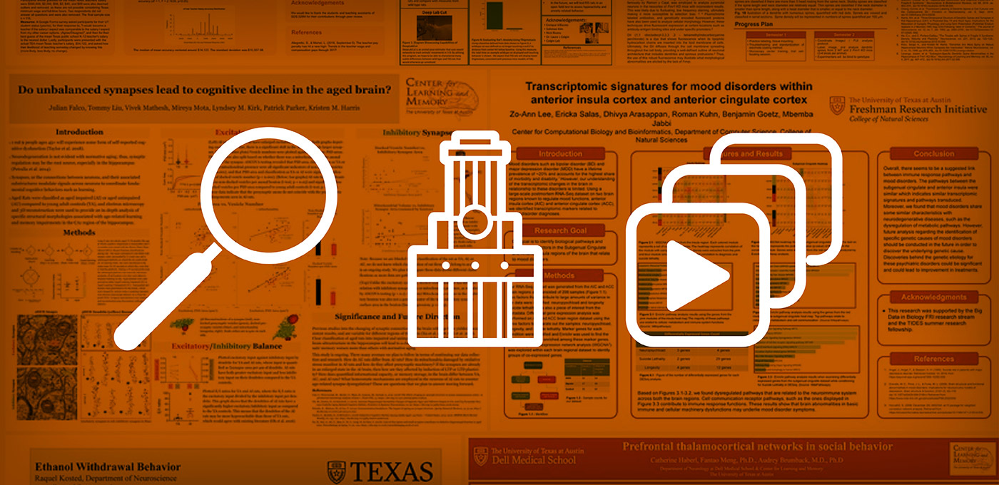 Undergraduate Research Forum - 3