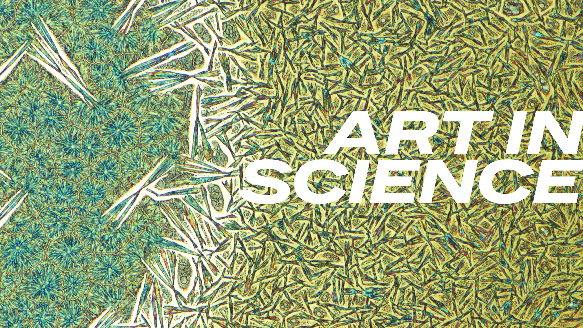 'Art in Science' overlaid atop one of the images submitted for this year's Visualizing Science contest.