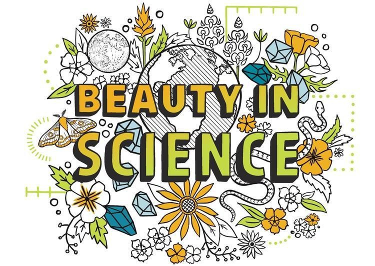 beauty in science