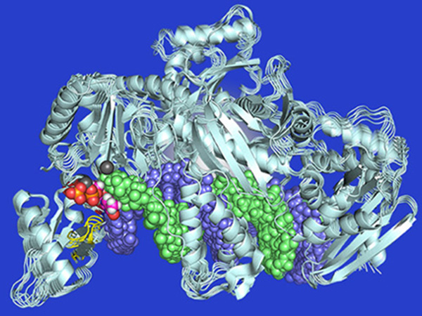 Biochemistry