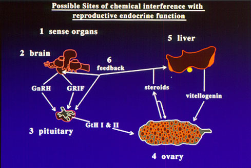 sites of interference2