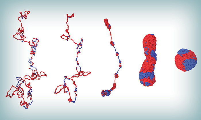 Scientists Map a Complicated Ballet Performed in Our Cells