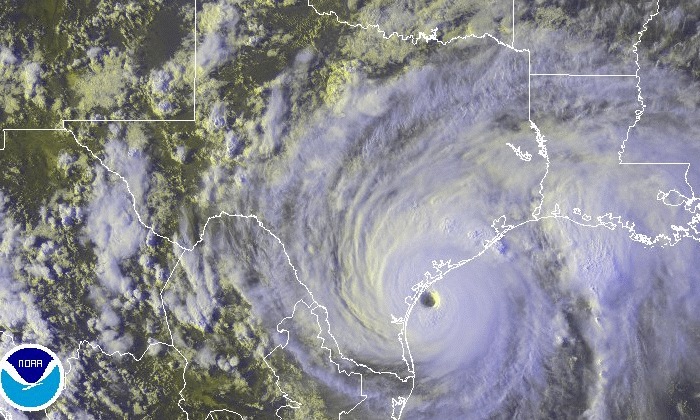 Undeterred, Gulf Fish Spawn Despite Hurricane