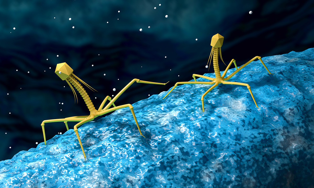 Explaining the Science: The Potential of Bacteriophages in a Post-Antibiotics World