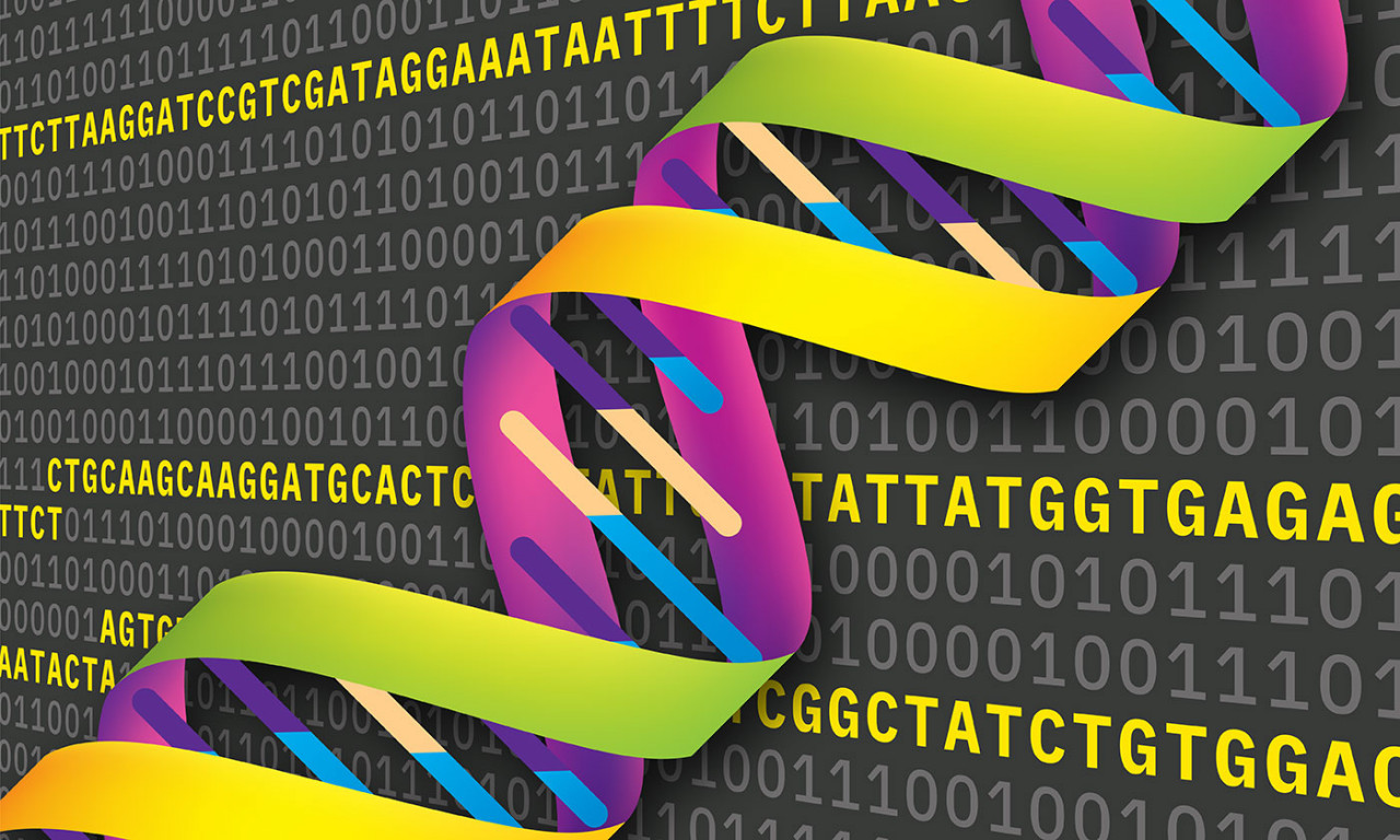 Power of DNA to Store Information Gets an Upgrade