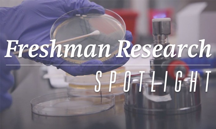 Freshman Research Initiative Spotlight: Discovering Antibiotics