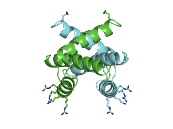 Researchers Discover Possible New Target to Attack Flu Virus