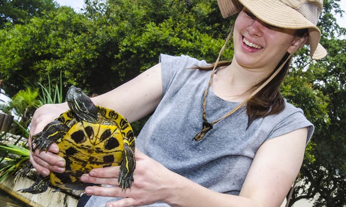 Turtles Go On Summer Vacation While Ponds Get Scrubbed Clean