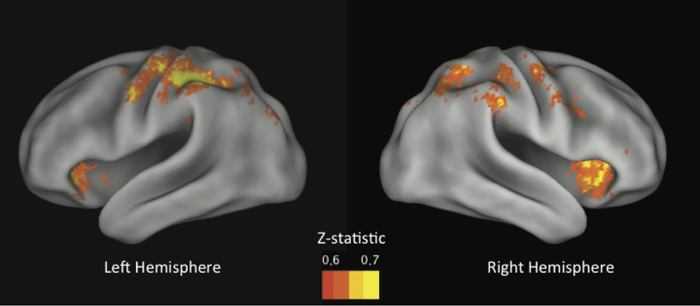 brains-control-systems-700x306.jpg