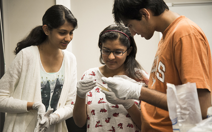 High school students collaborate during a Research Methods class. Photo by Jeff Mertz.