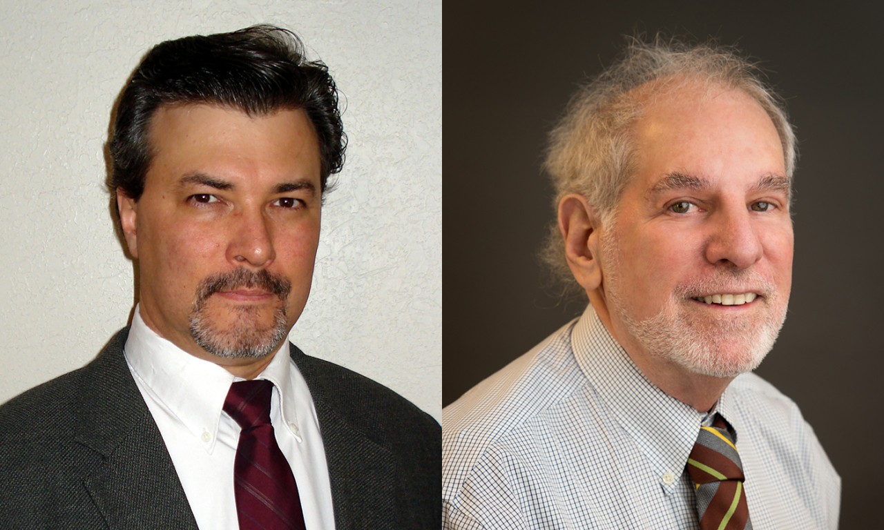 Natural Sciences Faculty Members Named AAAS Fellows