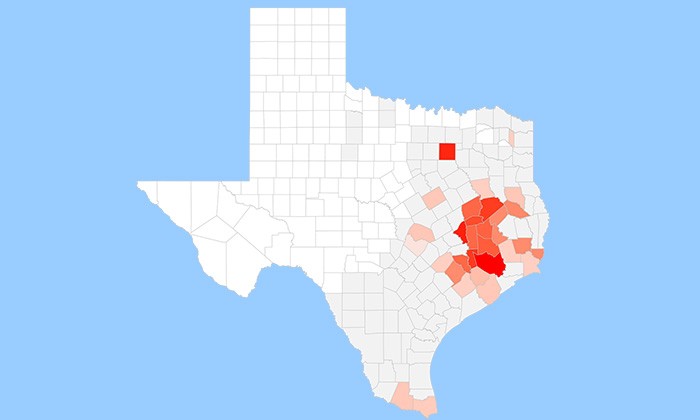 Computer Model Developed to Assess Risk of a Zika Epidemic in Real-time