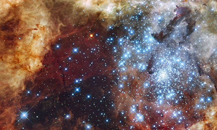 Magnetic Waves Create Chaos in Star-Forming Clouds