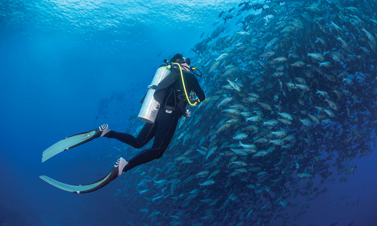 Turning the Tide: How the Marine Science Institute is Building a Bluer Future