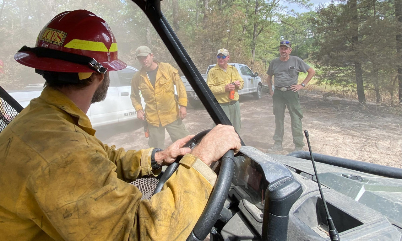 After Fire Damages Stengl Lost Pines, Scientists Say Discovery Will Rise from the Ashes