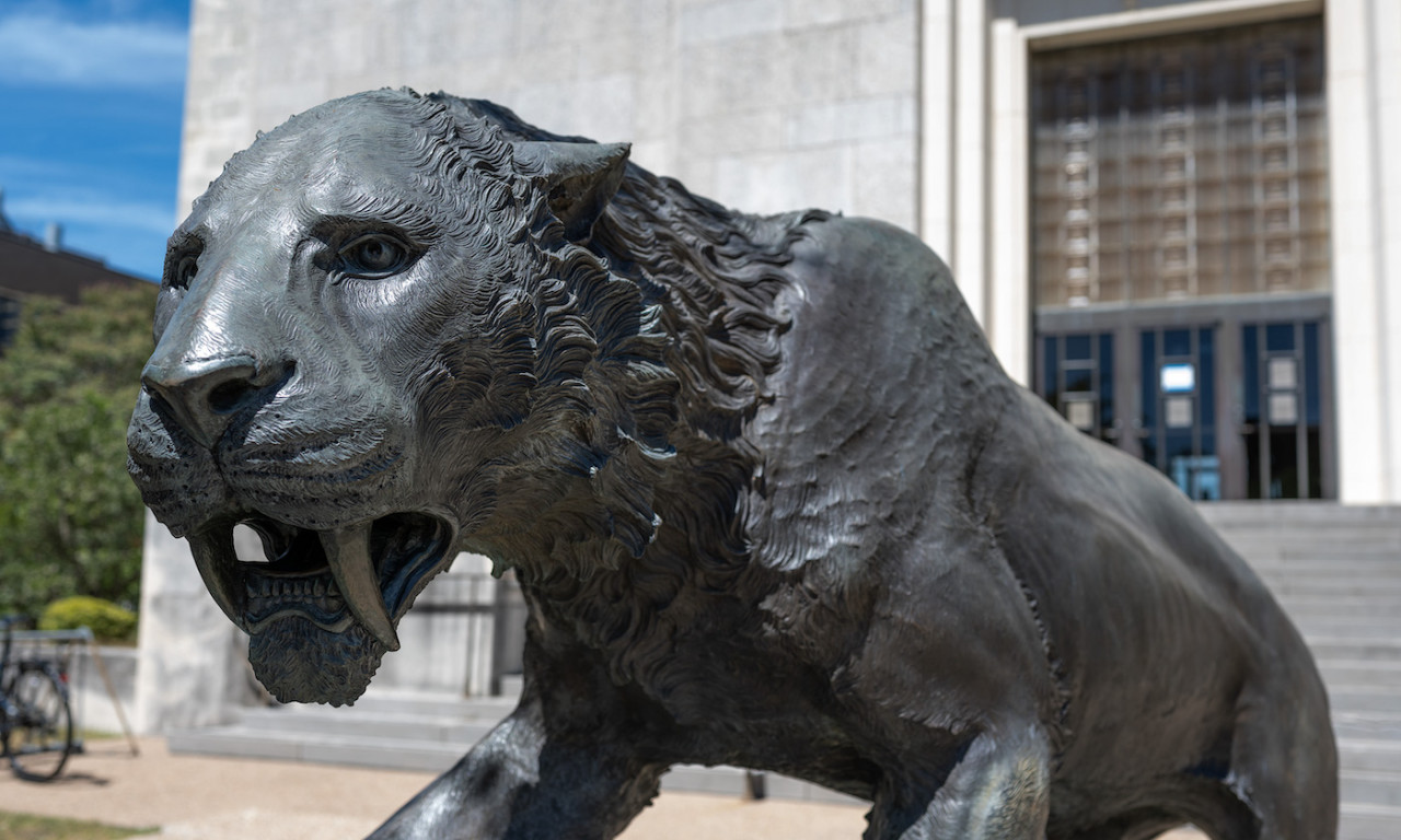 Texas Memorial Museum Set to Reopen in 2023 with Renovations and New Exhibits