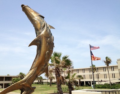 New Sculpture Unveiled at the Marine Science Institute