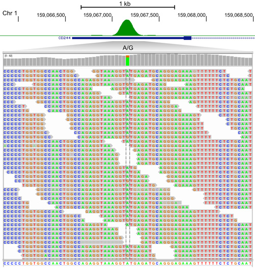 genetic-sequence-glioblastoma