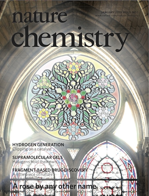 nchem -Cover JAN13-web